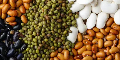 beans