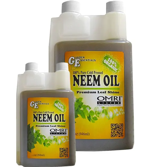 Pesticides agriculture Pymetrozine 95TC Price pesticides Pymetrozine 95TC