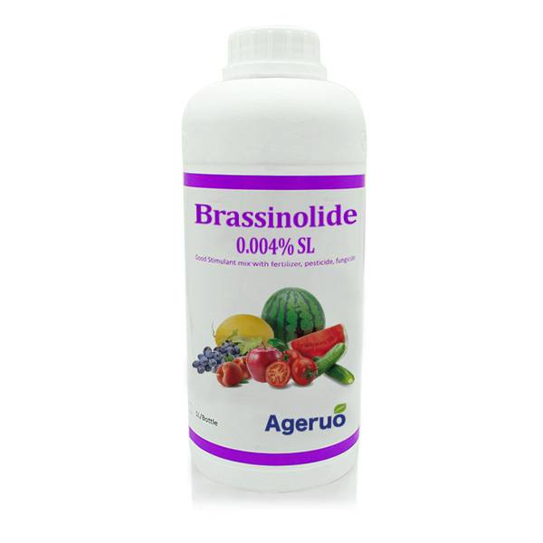 Chinese Professional Mancozeb 80 Wp - Ageruo 90% TC Brassinolide use of Natural Plant Hormone – AgeruoBiotech detail pictures