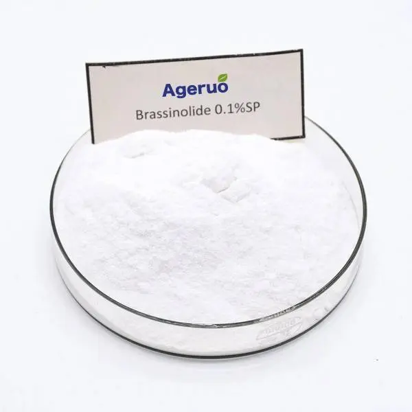 Ageruo Brassinolide 0.1% SP in Plant Growth Regulator
