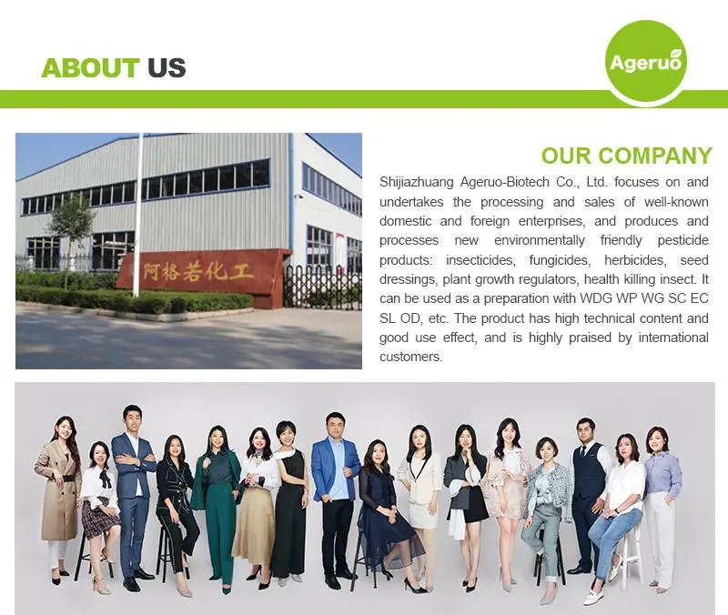 Shijiazhuang Ageruo-Biotech Co., Ltd 1