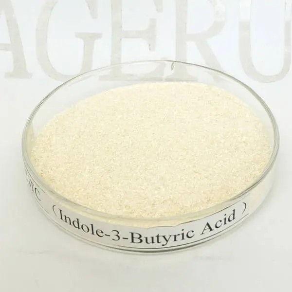 Indole-3-butyric acid 98% TC of Ageruo IBA for Rooting Ho...