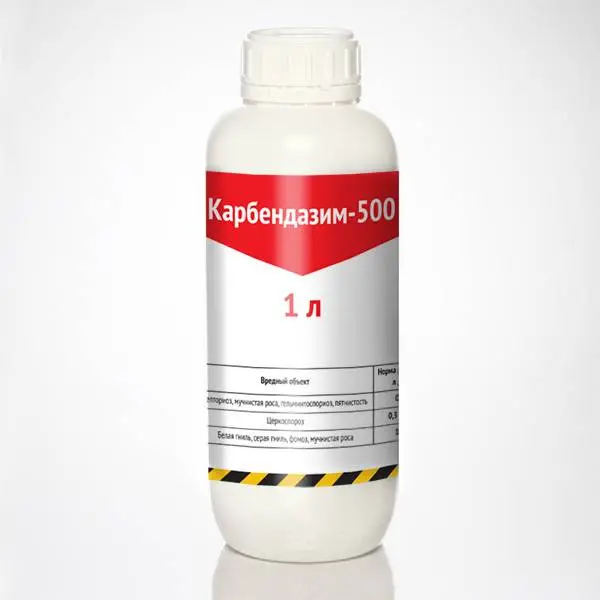 Manufacturer for Flutriafol Fungicide - Agrochemical Highly Effective Carbendazim 50% SC Systemic Fungicide – AgeruoBiotech