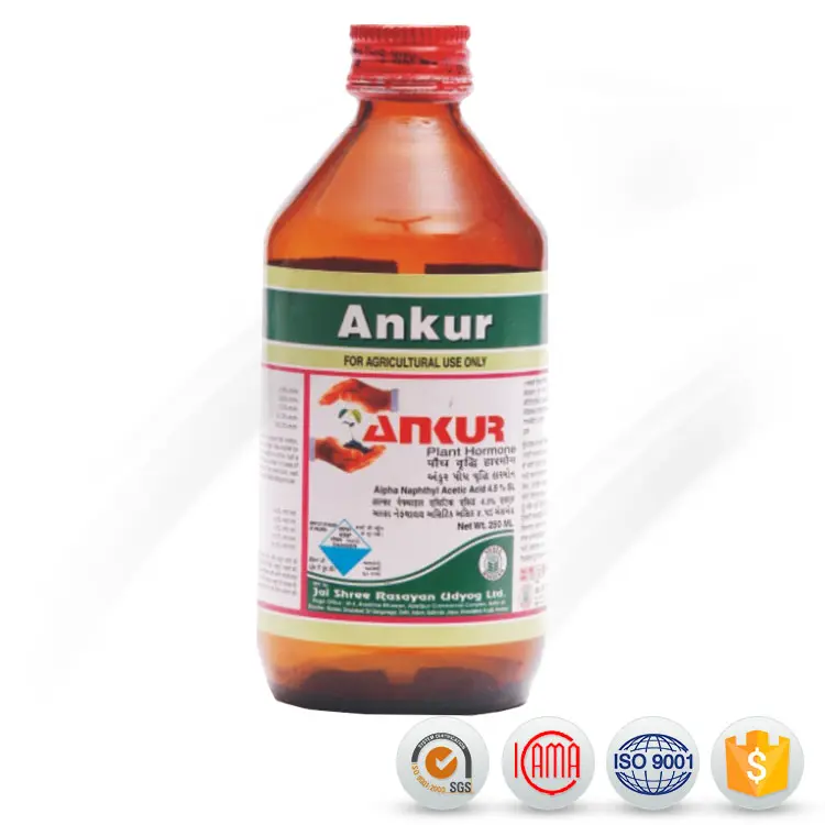 China Cheap price Azoxystrobin -  Good supplier of agrochemicals Pesticides 98%TC NAA (Napthylacetic Acid) - AgeruoBiotech