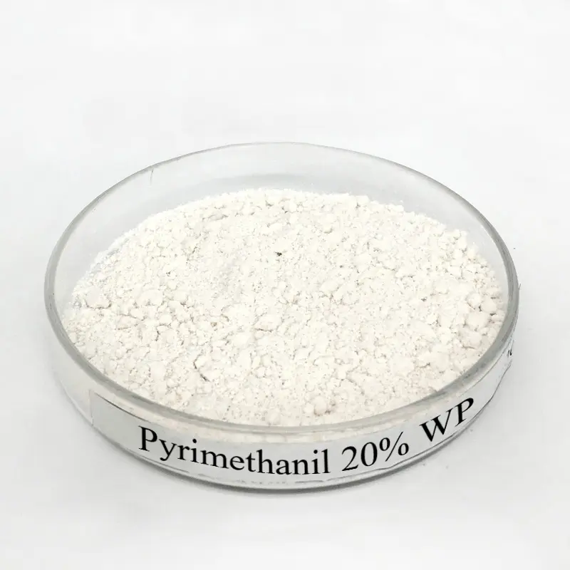 2019 wholesale price Carbendazim Fungicide - Fungicide Pyrimethanil 20% SC 40% SC 20% WP for Tomato Botrytis desease – AgeruoBiotech detail pictures