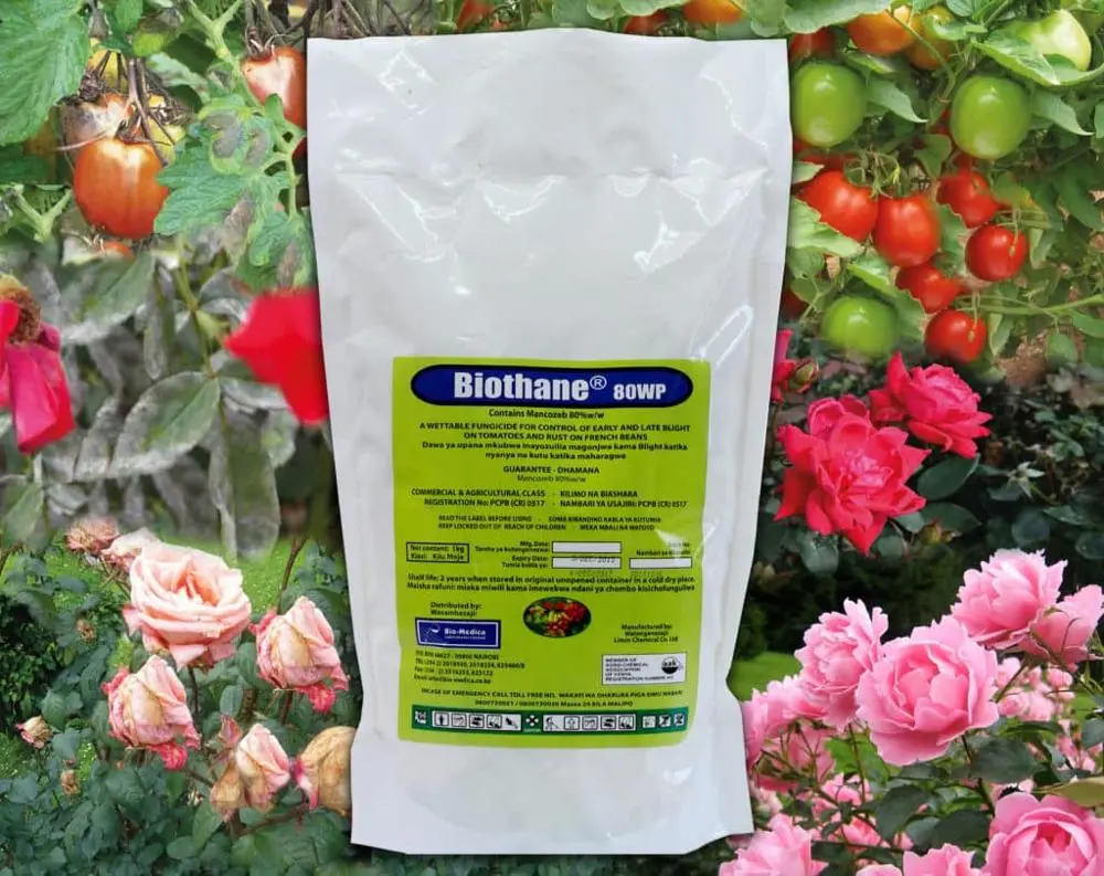 100% Original Acetamiprid Price - Best selling agrochemicals fungisida  fungicides Mancozeb 80% WP for roses rust – AgeruoBiotech