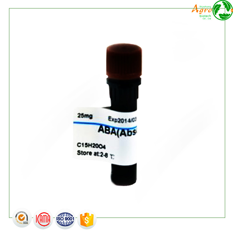 OEM/ODM Manufacturer Metribuzin - Names chemical herbicide Abscisic Acid S-ABA 1-10%SL – AgeruoBiotech detail pictures