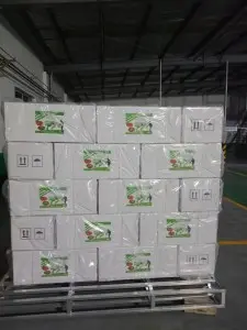 Weed Killer Agrochemical Pesticide Herbicide Prometryn 50% WP Manufacture