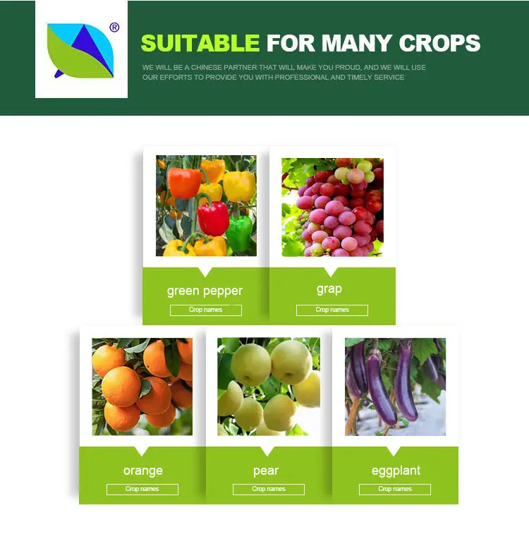 abamectin and spirodiclofen for crops